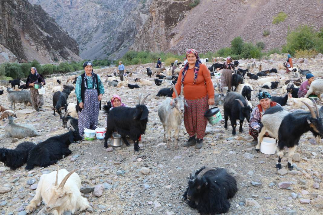 Hakkari'de İlkel salla Zap Deresi'ni geçip, keçilerini sağıyorlar 11