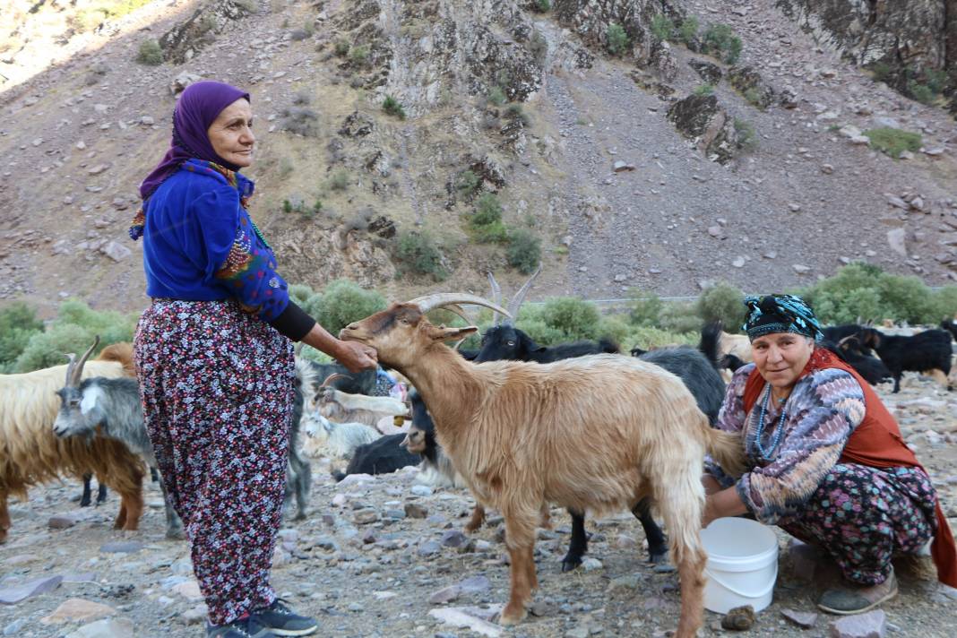 Hakkari'de İlkel salla Zap Deresi'ni geçip, keçilerini sağıyorlar 12