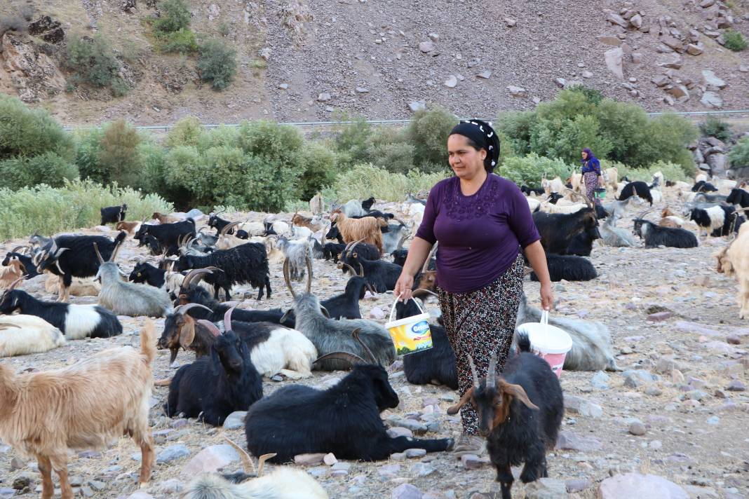 Hakkari'de İlkel salla Zap Deresi'ni geçip, keçilerini sağıyorlar 18