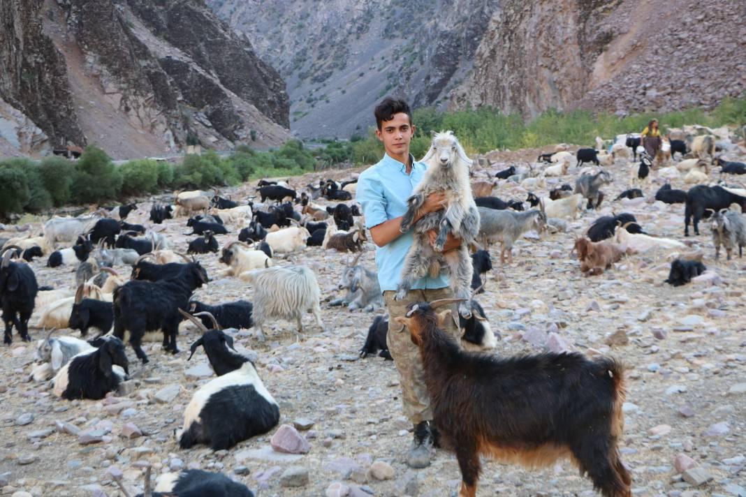 Hakkari'de İlkel salla Zap Deresi'ni geçip, keçilerini sağıyorlar 21