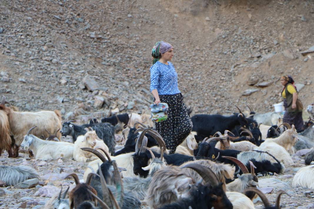Hakkari'de İlkel salla Zap Deresi'ni geçip, keçilerini sağıyorlar 25