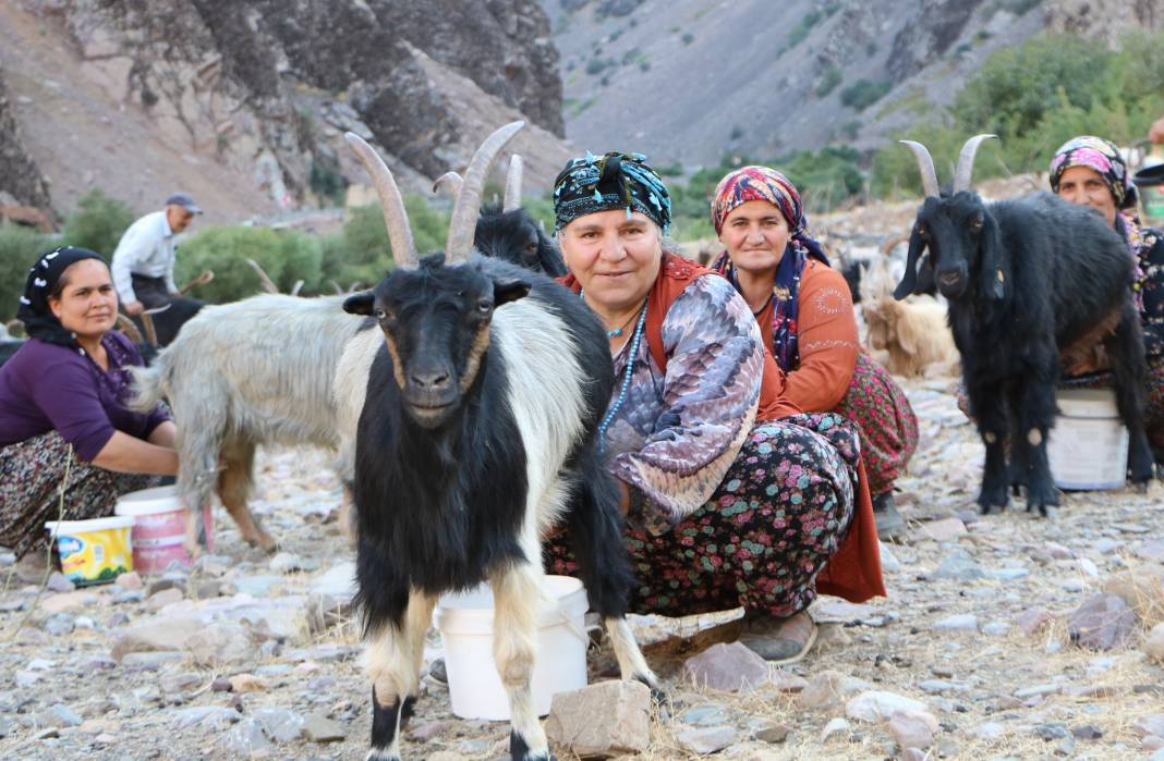 Hakkari'de İlkel salla Zap Deresi'ni geçip, keçilerini sağıyorlar 4
