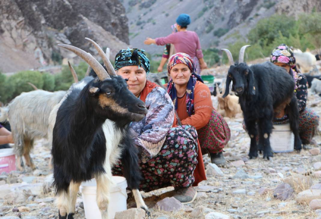 Hakkari'de İlkel salla Zap Deresi'ni geçip, keçilerini sağıyorlar 7