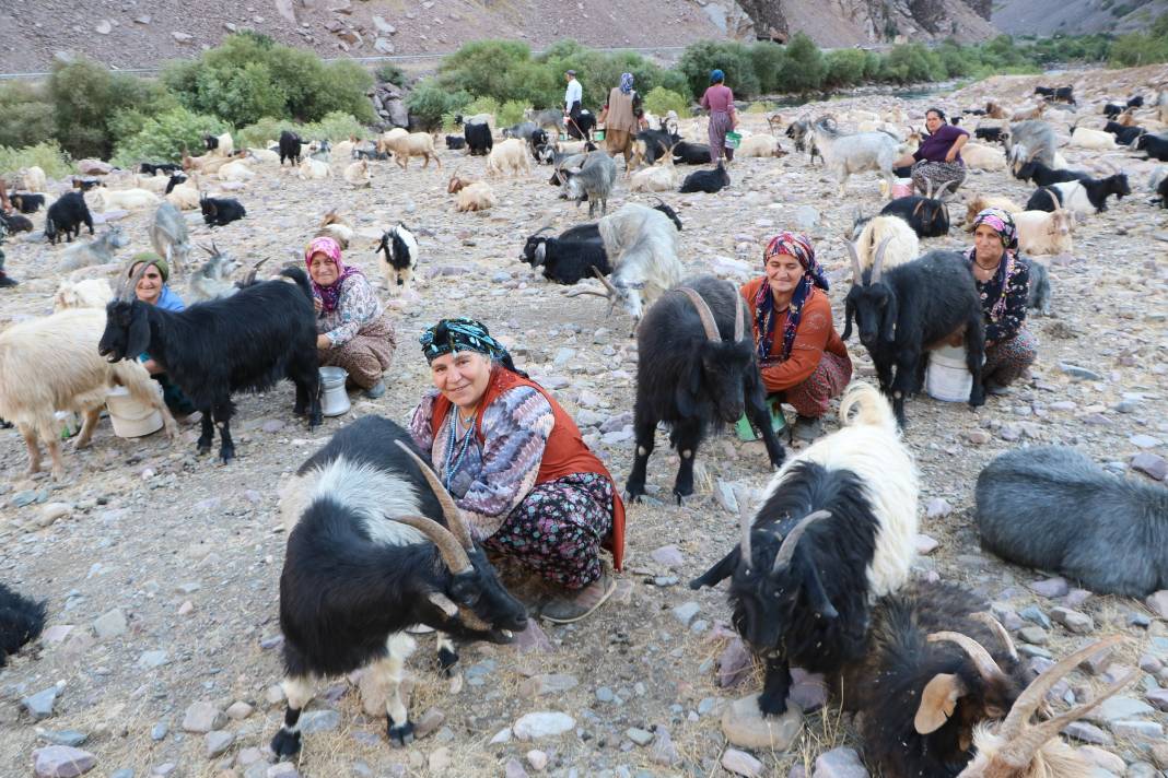 Hakkari'de İlkel salla Zap Deresi'ni geçip, keçilerini sağıyorlar 9