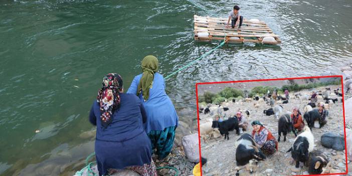 Hakkari'de İlkel salla Zap Deresi'ni geçip, keçilerini sağıyorlar