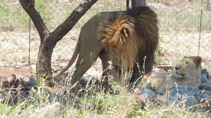 Hakkari dağcıları Afrika safari turuna çıktılar 8