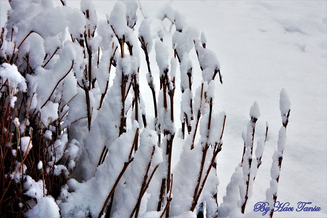Hacı Tansu Objektifinden Kış Manzaraları 12