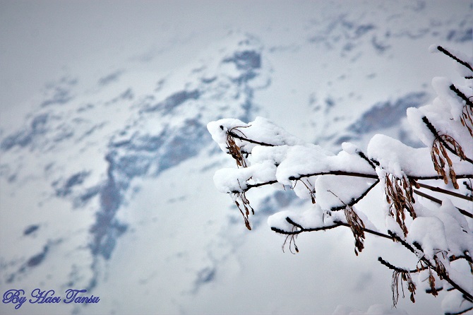 Hacı Tansu Objektifinden Kış Manzaraları 13
