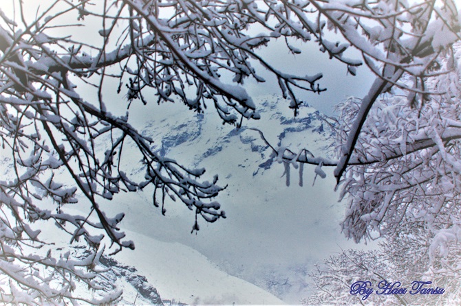 Hacı Tansu Objektifinden Kış Manzaraları 14