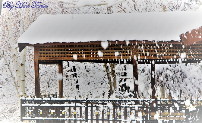 Hacı Tansu Objektifinden Kış Manzaraları 4