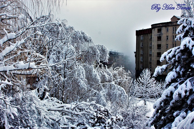 Hacı Tansu Objektifinden Kış Manzaraları 7