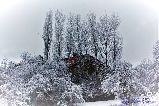 Hacı Tansu Objektifinden Kış Manzaraları 9