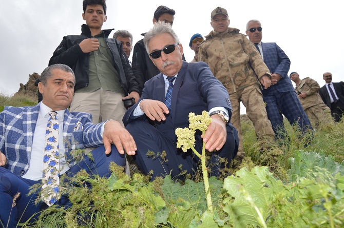 Hakkari'de 2'nci Uçkun Festivali Düzenlendi 1