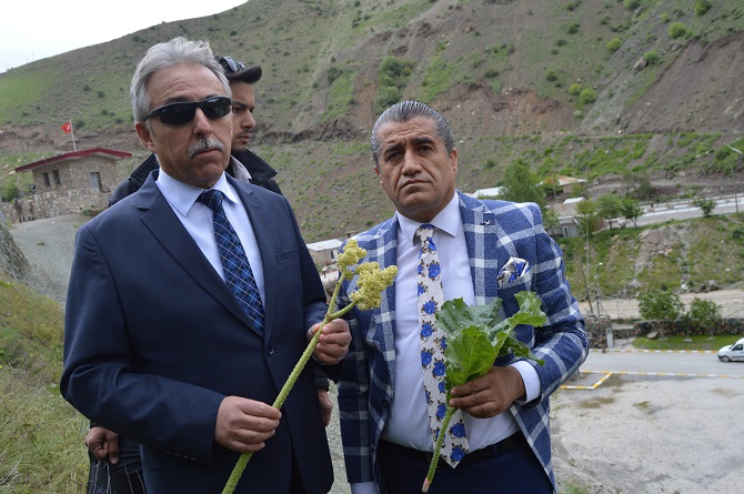 Hakkari'de 2'nci Uçkun Festivali Düzenlendi 2