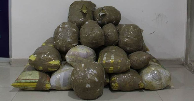 Hakkari'de uyuşturucu operasyonu: 1 Gözaltı