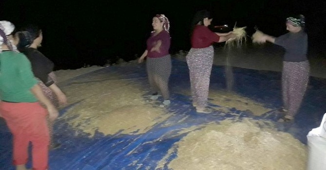 Çukurca'da Kadınlar gece mesaisinde!