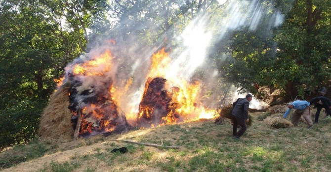 Şemdinli’de bin bağ ot yandı