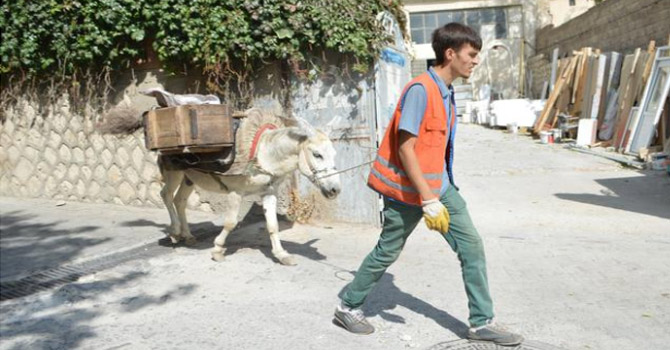 Eşek kadrolu, üniversite mezunu sözleşmeli
