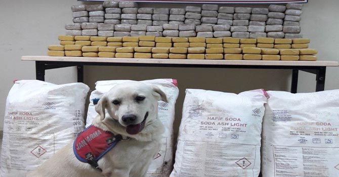 Yüksekova'da Toprağa Gömülü 144 Kilo Eroin Ele Geçirildi