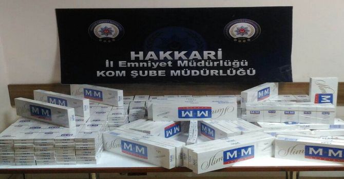 Hakkari'de 380 paket gümrük kaçağı sigara ele geçirildi
