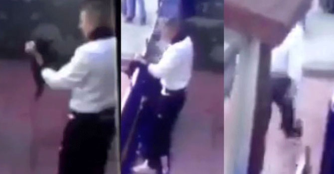 Erzincan Orduevi önünde yavru kediye işkence