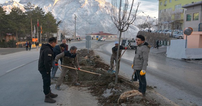 Hakkari'yi Yeşillendirme çalışmaları devam ediyor