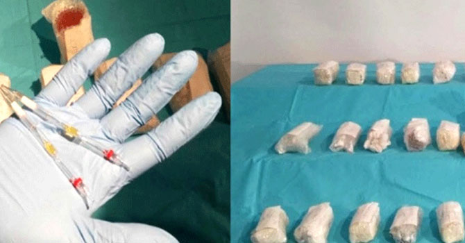 İstanbul'da kobra zehiri operasyonu