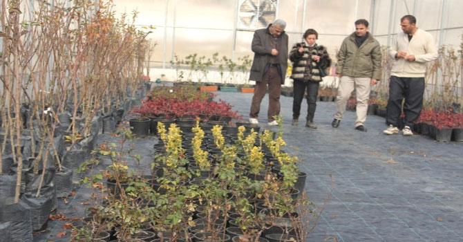 Şimşek Hakkari köylerindeki seraları denetledi