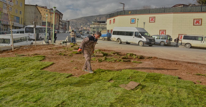Hakkari'yi Yeşillendirme çalışmaları devam ediyor