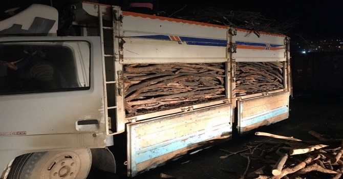 Odun Yüklü kamyonette 24 bin paket kaçak sigara ele geçirildi