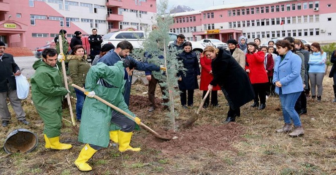 Hakkari'de Bereket Ormanlarına Fidan dikildi