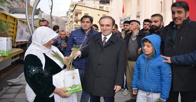 Hakkari'de Bedava fidana hücum