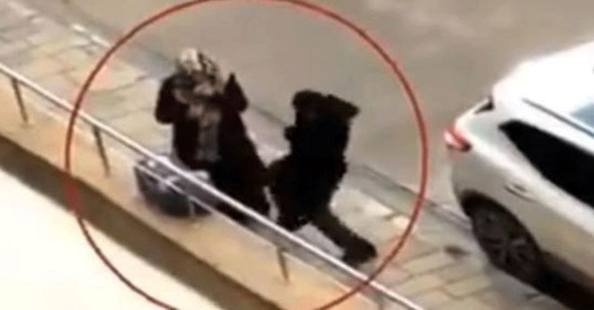 Van'da bebekli kadına kaldırımda tekme