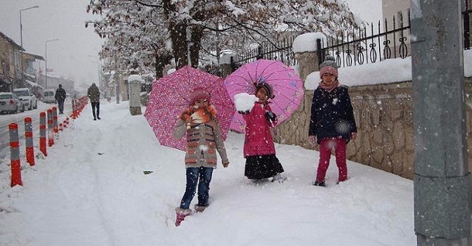 Van'ın 3 ilçesinde eğitime kar engeli