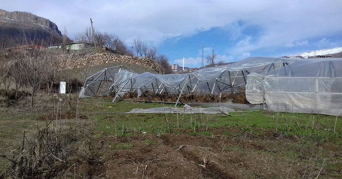 Şemdinli'de fırtına seraları yıktı