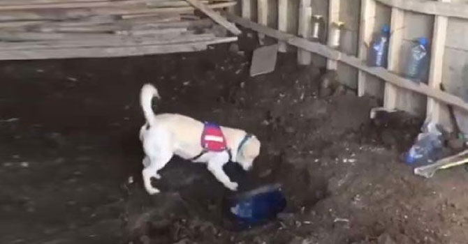 Yüksekova'da toprağa gömülü 52 kilo eroin ele geçirildi