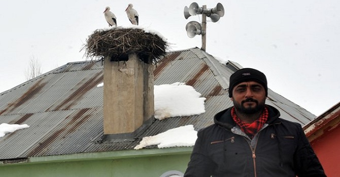 Yüksekova'da Göç edemeyen leyleklere köylüler bakıyor