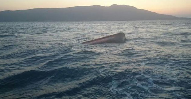 Yunanistan açıklarında tekne faciası: 14 kişi öldü