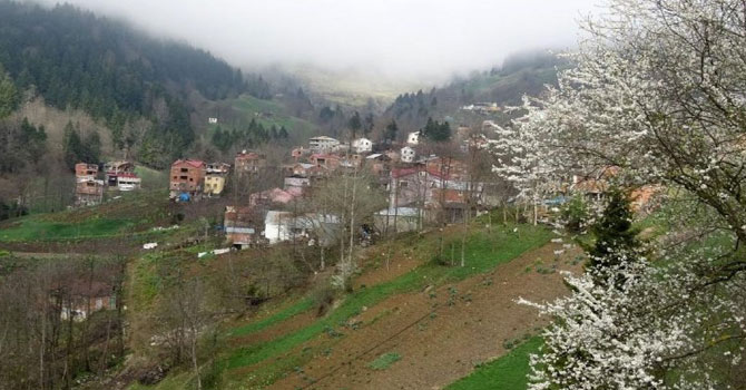 Bu köyün yüzde 85'i kanser oldu!