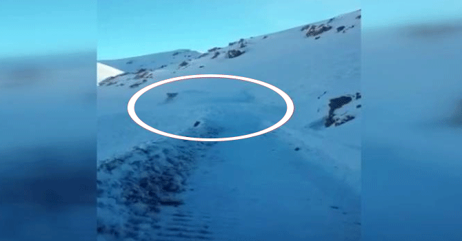 Hakkari-Van karayolunda iş makinesi'nin üzerine çığ düştü