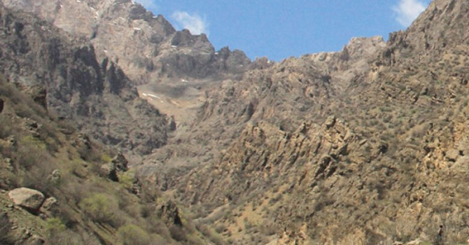 Yüksekova'da pancara giden kadın canından oldu