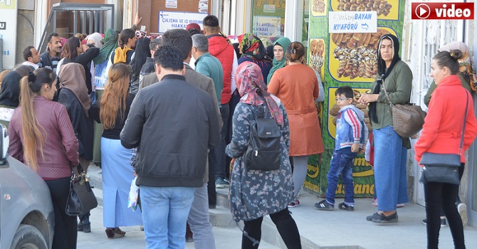 Hakkari İŞ-KUR'da Geçici İş Kuyruğu