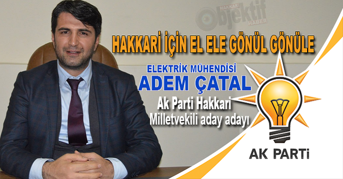 Hakkarili elektrik mühendisi Ak Parti’den aday adayı