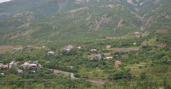 Hakkari'de çekirge istilasına uğrayan köylüler yardım bekliyor