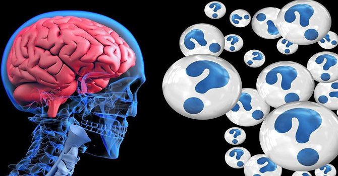 ‘İnsanlığın zeka seviyesi giderek düşüyor’