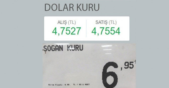 "Dolar kuru: 4.75, Soğan kuru: 6.95"