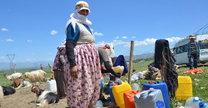 Yüksekova’da berivanların sıcak havada zorlu mesaisi