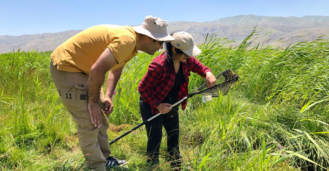 Hakkari'deki biyolojik çeşitlilik araştırılıyor!
