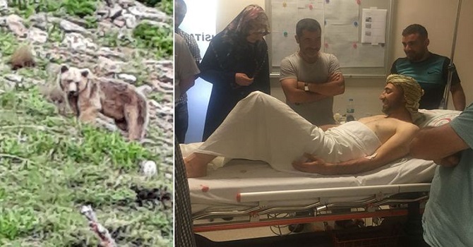 Piknikte ayının saldırısına uğradı