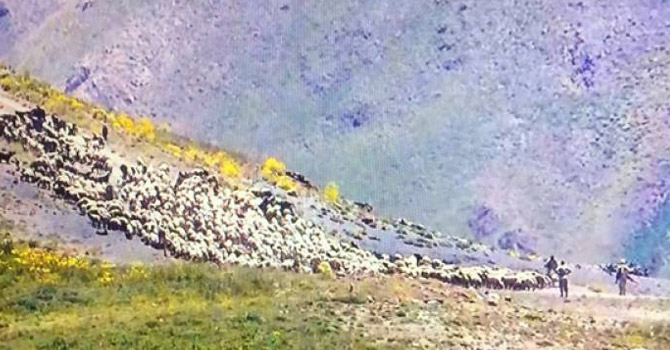 İran'ın gözaltına aldığı 4 çobandan haber yok!